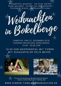 Weihnachten in Bokelberge