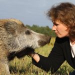 Kinder Tiere Kommunikation / Corinna Michelsen mit Willy, dem Wildschwein